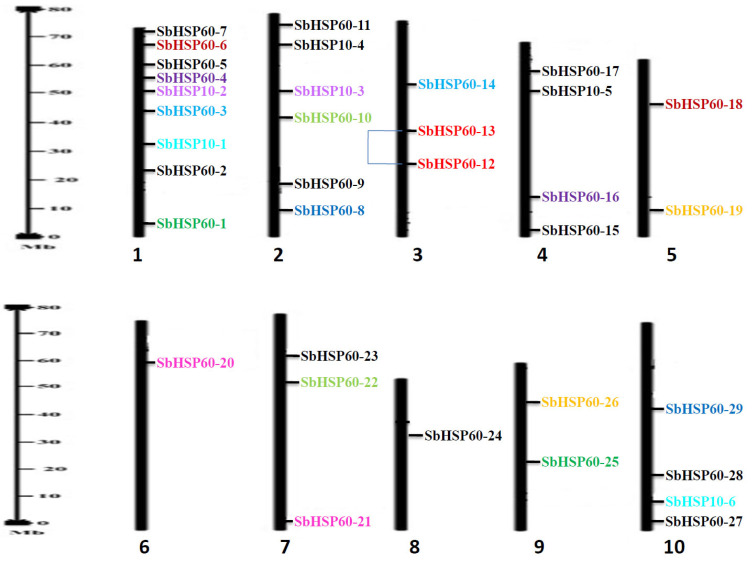 Fig. (1)