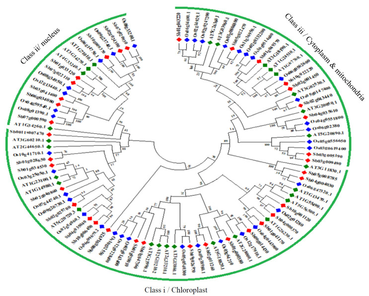 Fig. (5)