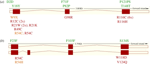 Figure 3.