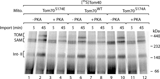 FIGURE 6: