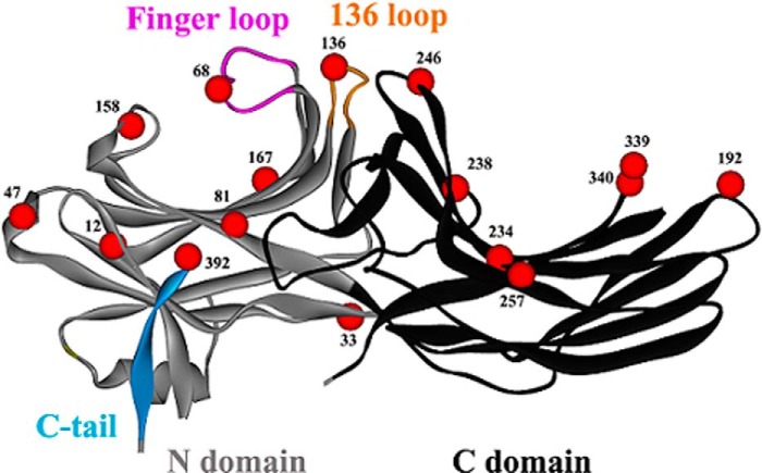 FIGURE 1.