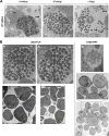FIG 13