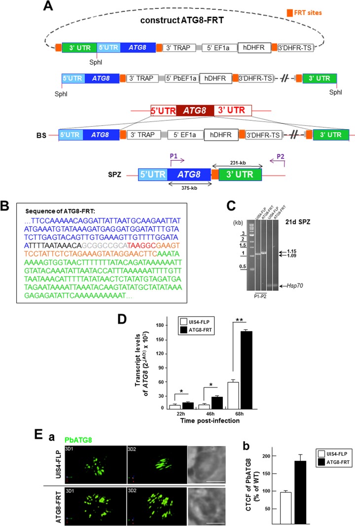 FIG 4 