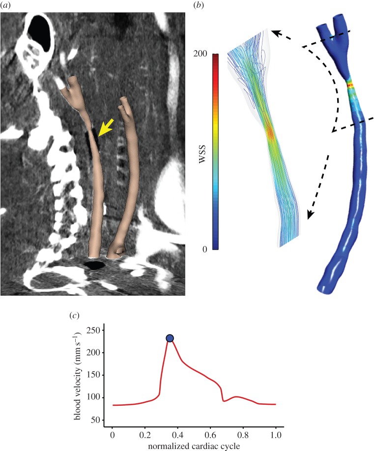 Figure 2.