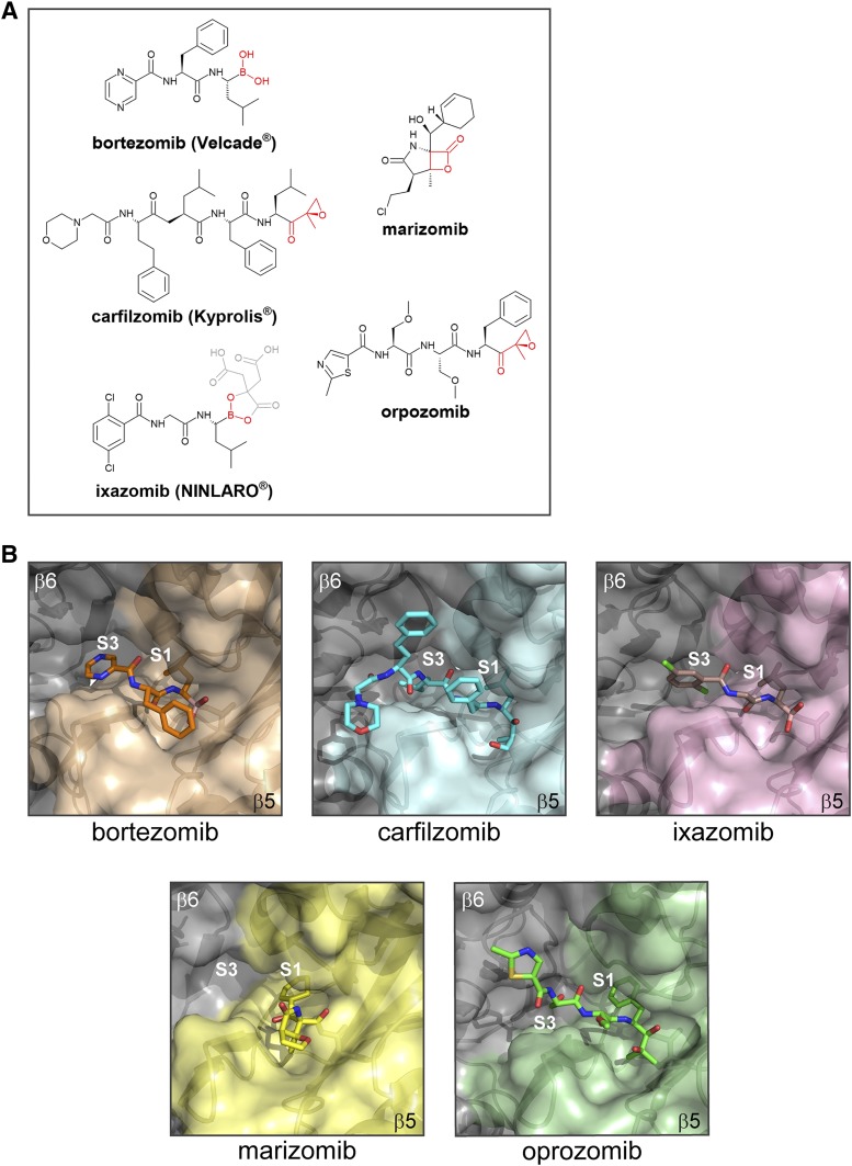 Fig. 4.