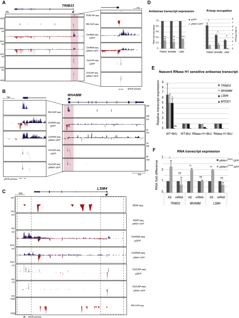 Figure 6