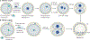 Figure 1 |