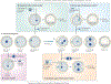 Figure 2 |