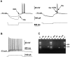 Fig. 4.