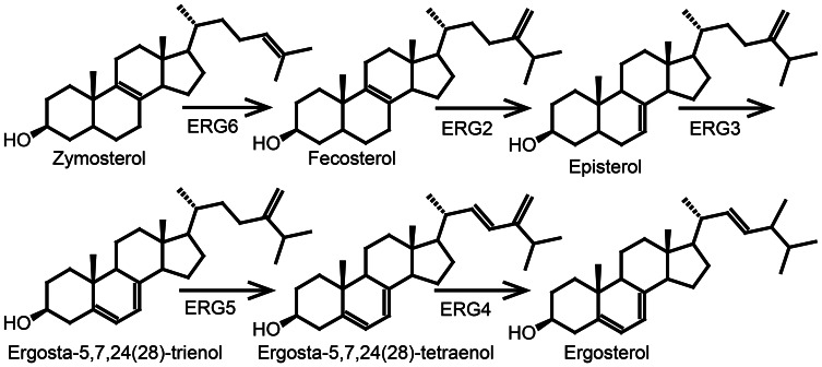 Figure 7