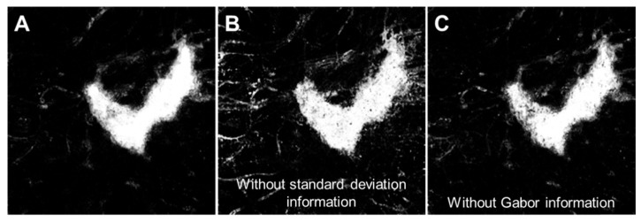 Fig. 6