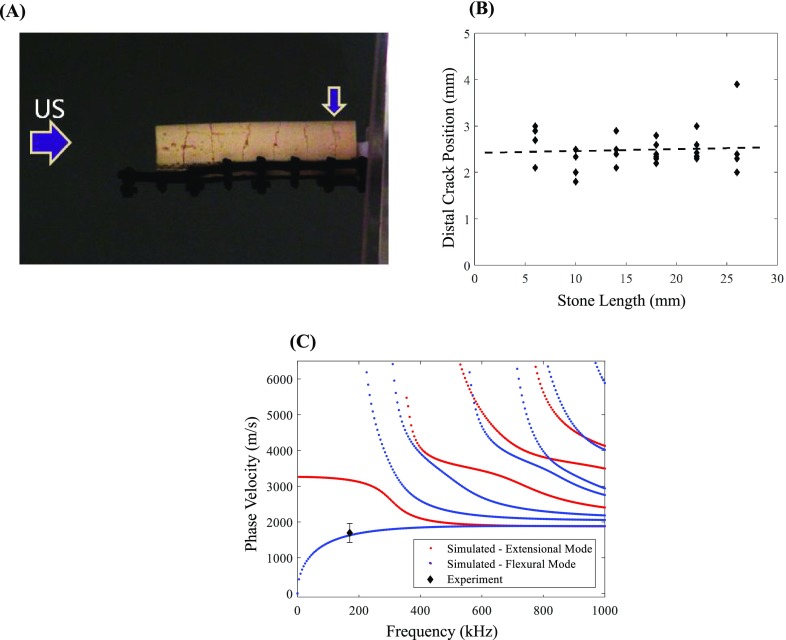 FIG. 12.