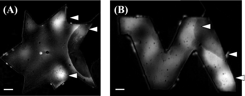 FIG. 10.