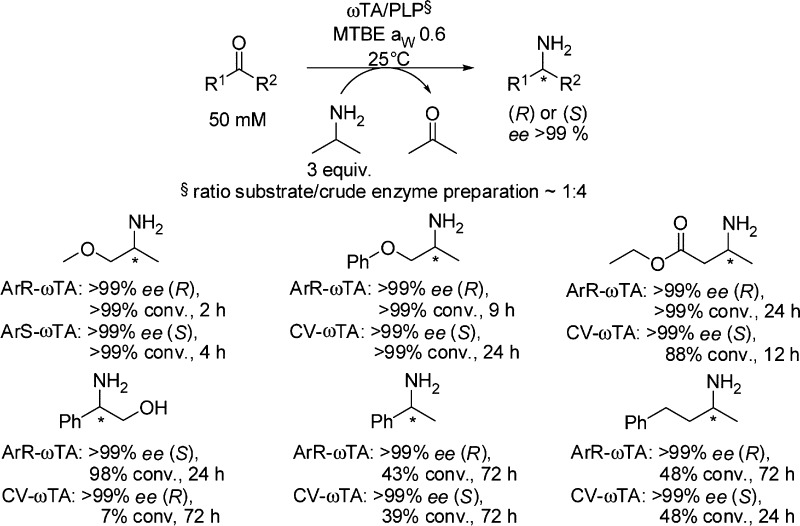 Scheme 5