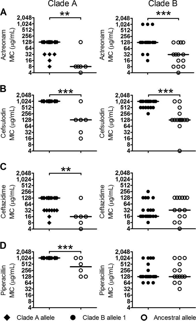 FIG 6 