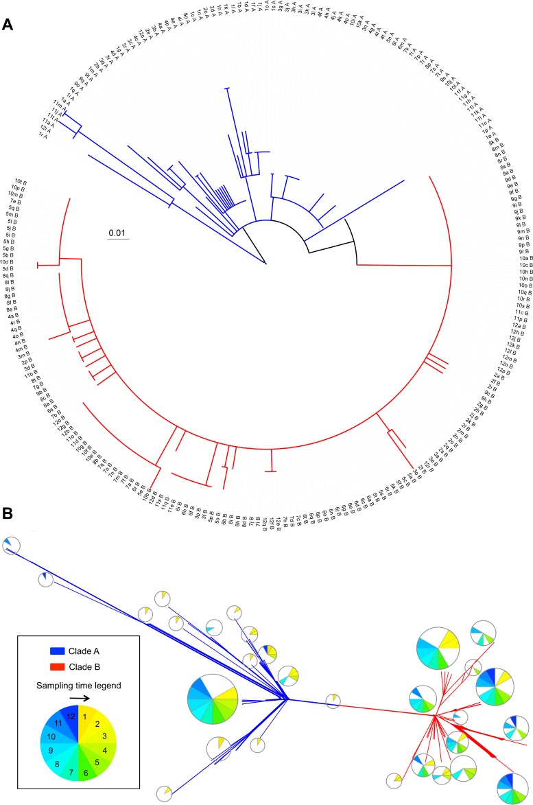 FIG 2