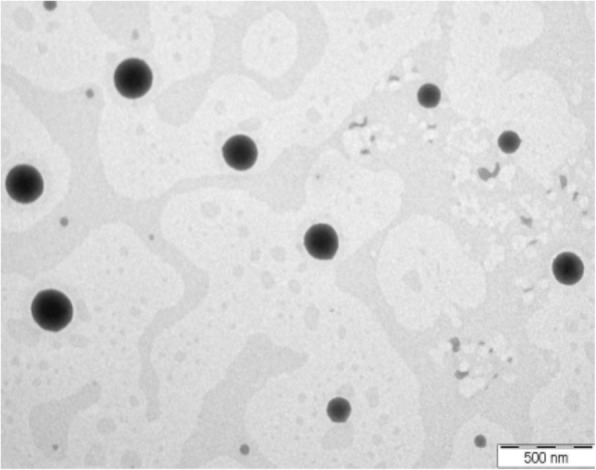 Fig. 10
