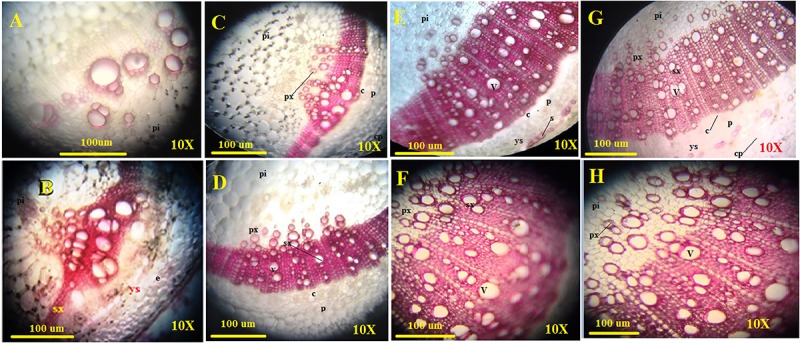 FIGURE 10