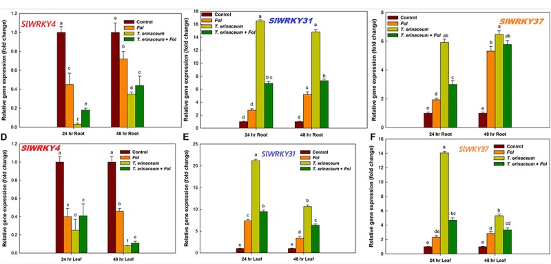 FIGURE 4