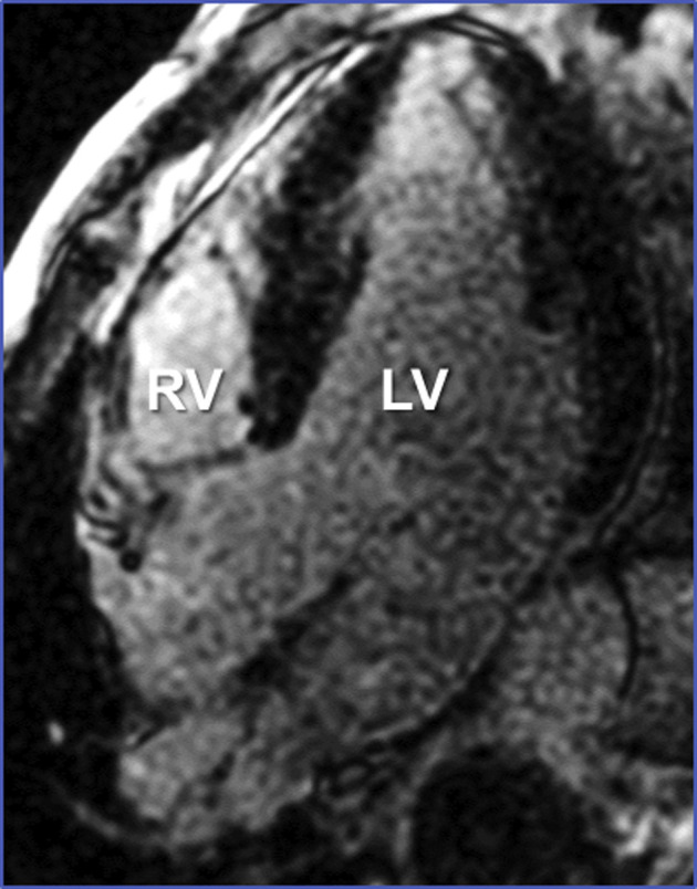 Supplemental Figure 1