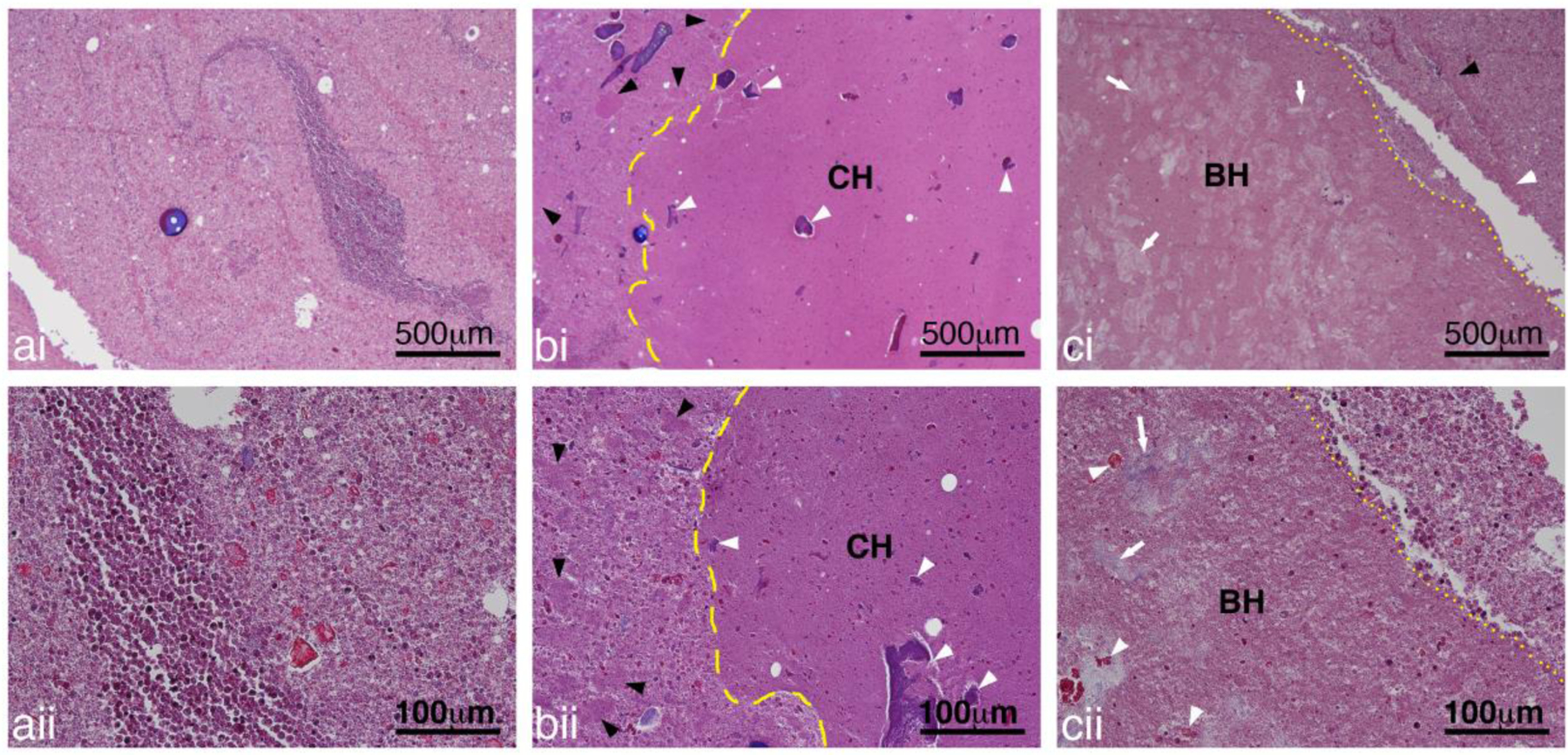 Figure 12: