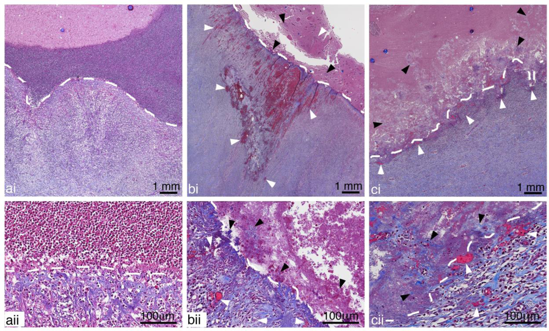 Figure 11: