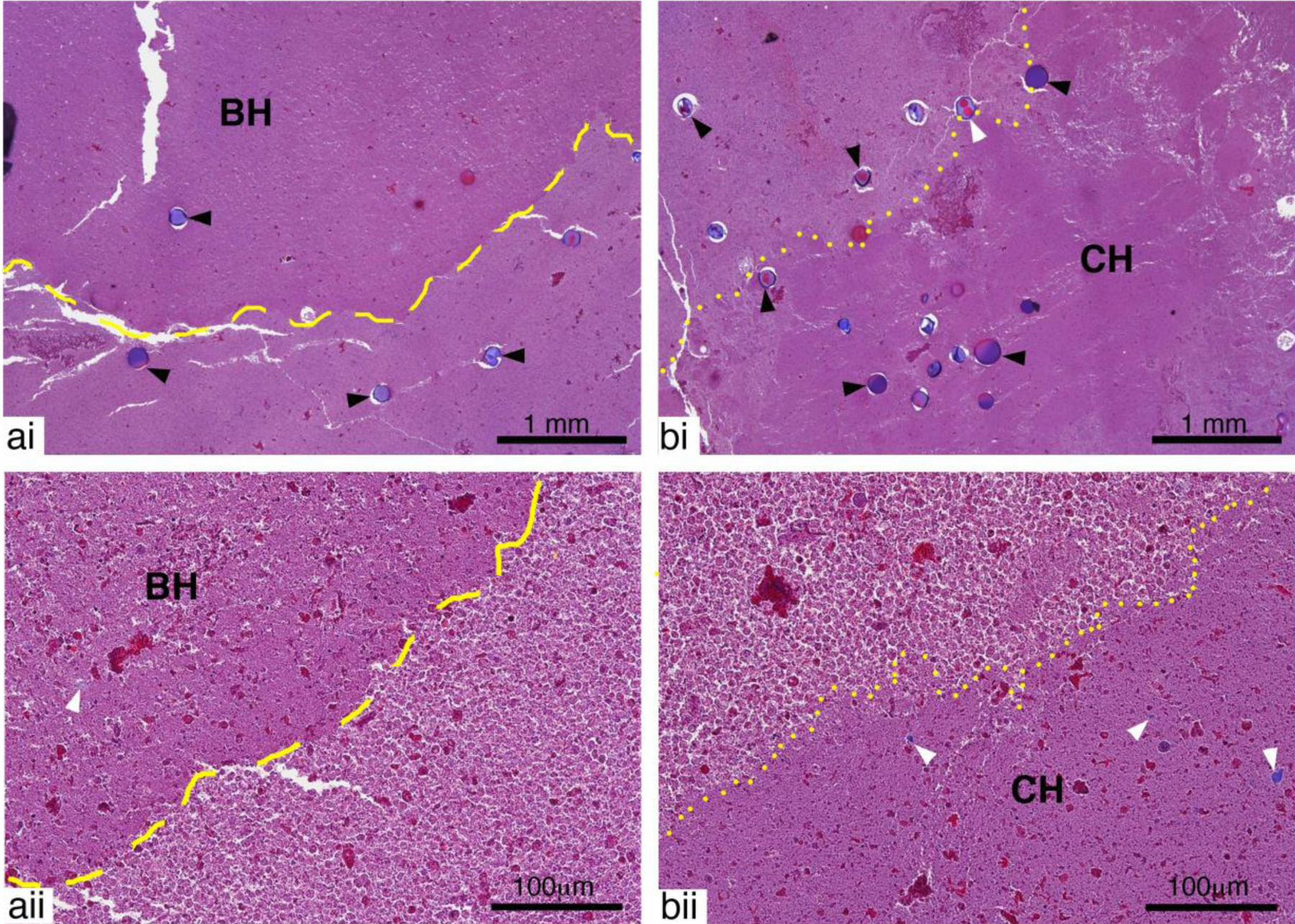 Figure 5: