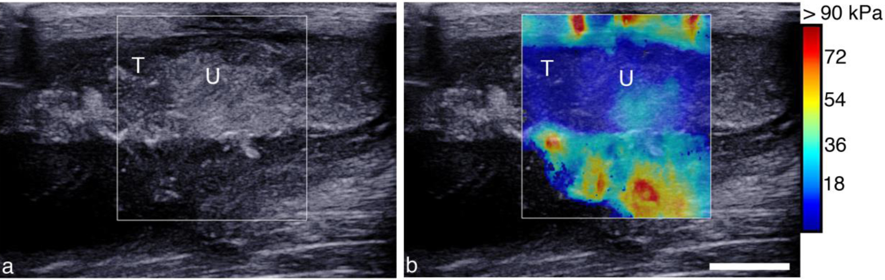 Figure 10.