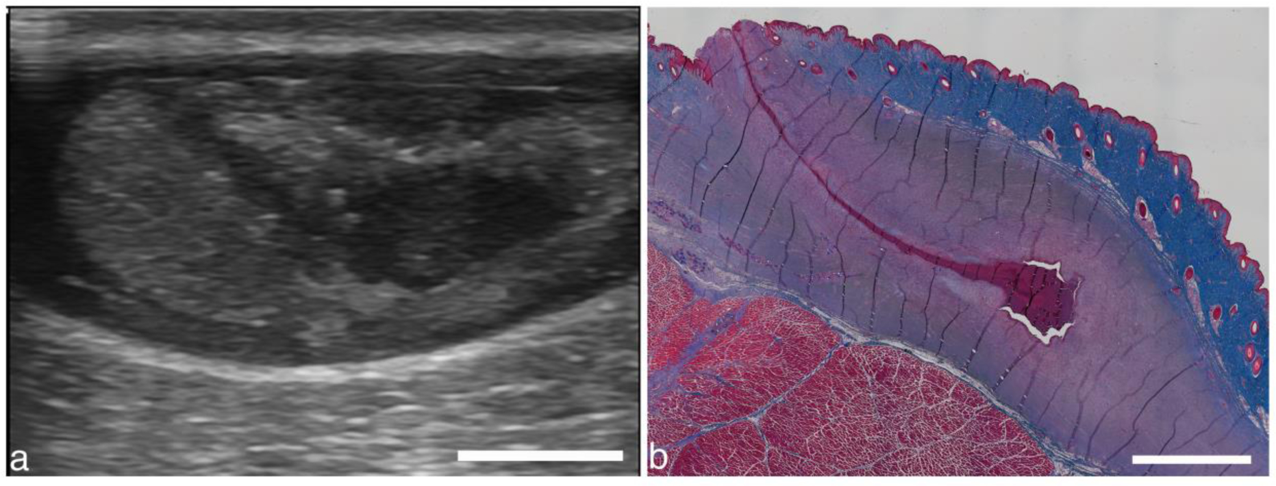 Figure 15.