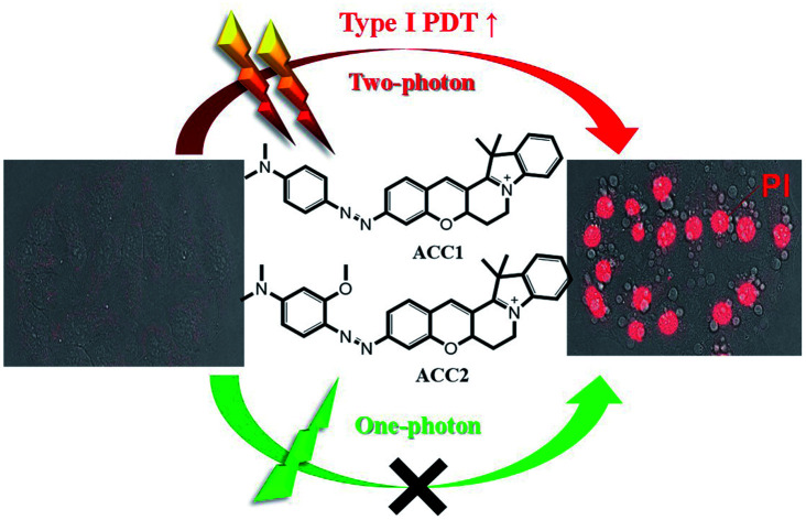 graphic file with name d0sc05686c-ga.jpg