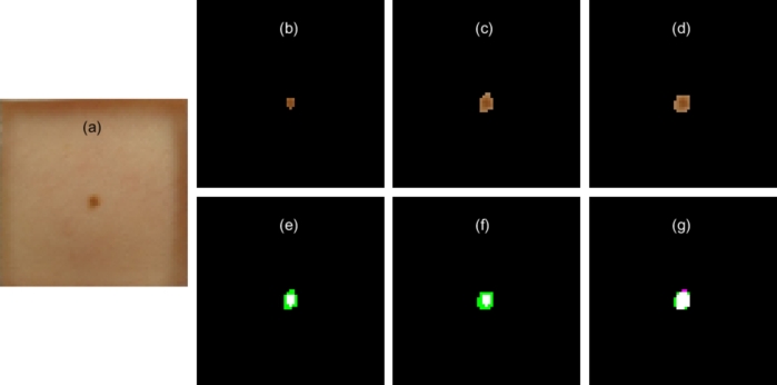 Figure 7