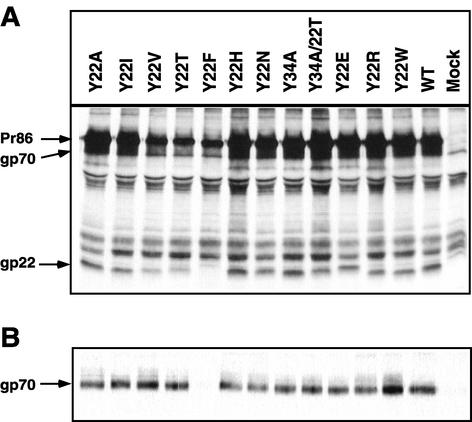 FIG. 3.