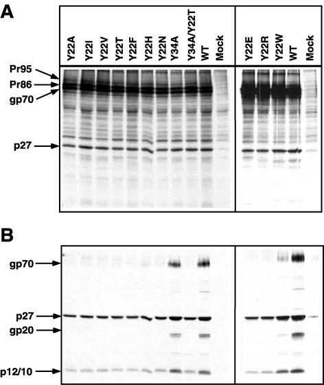 FIG. 6.