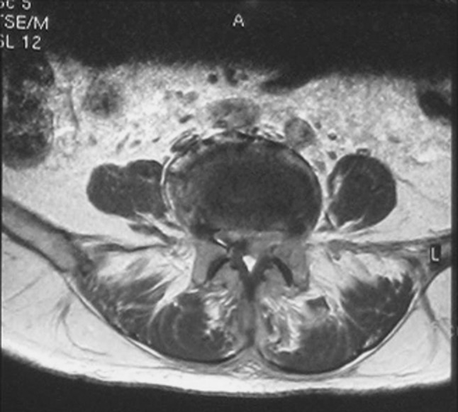 Fig. 5