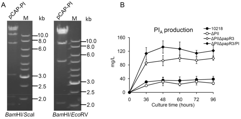 Fig. 4