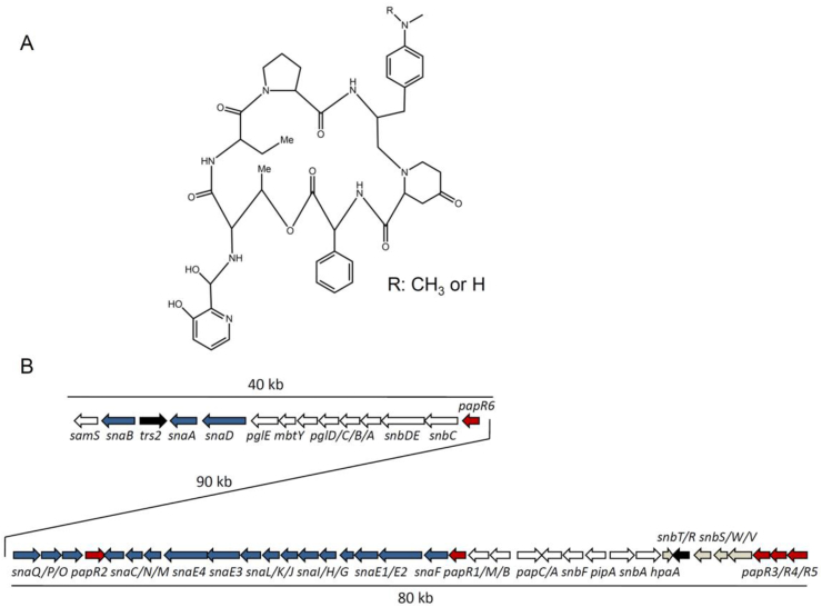 Fig. 1