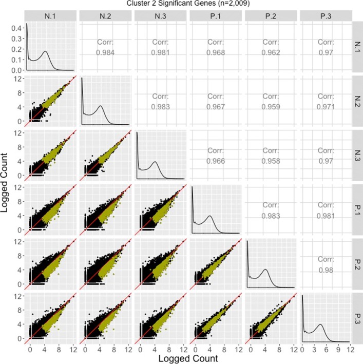 Fig. 12