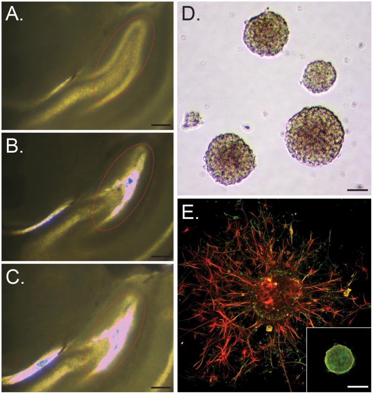 Figure 9