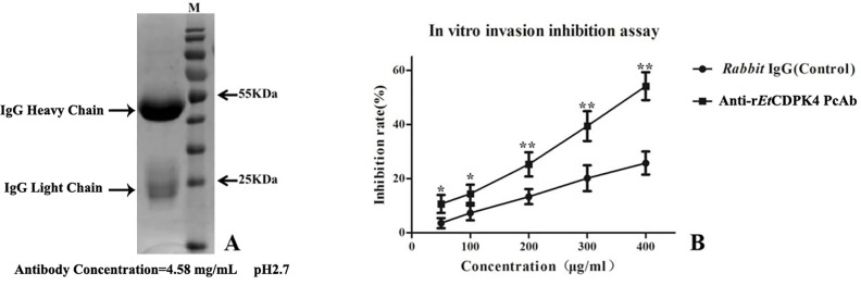 Fig 10