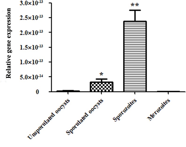 Fig 4