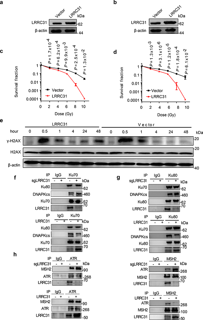 Fig. 5: