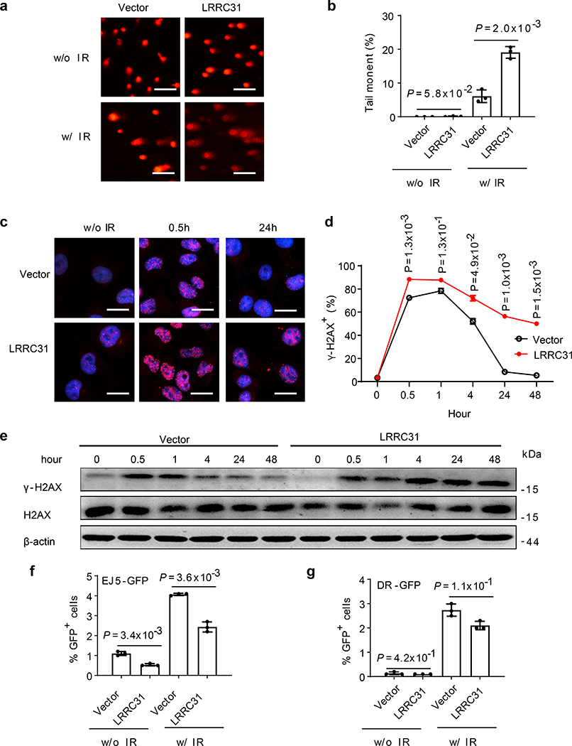 Fig. 2: