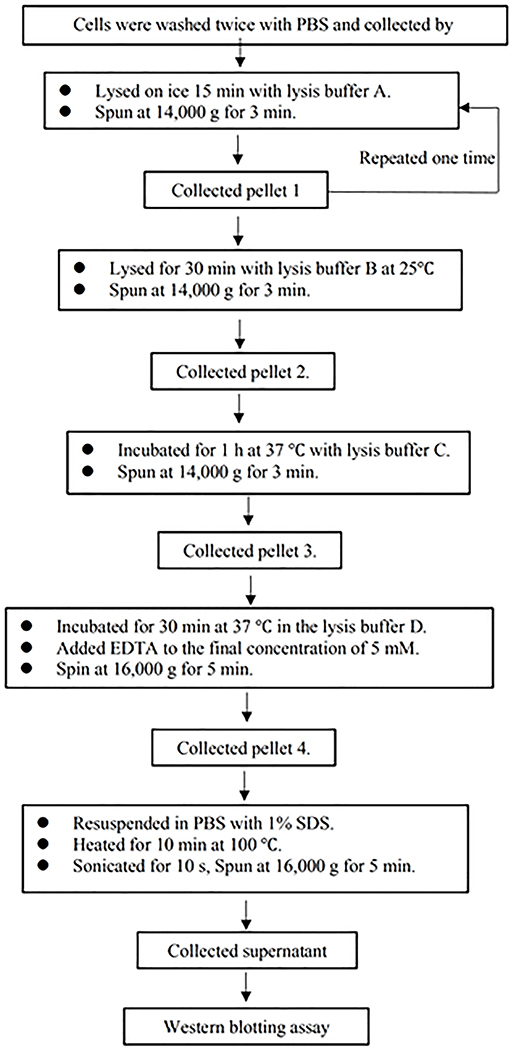 Extended Data Fig. 6