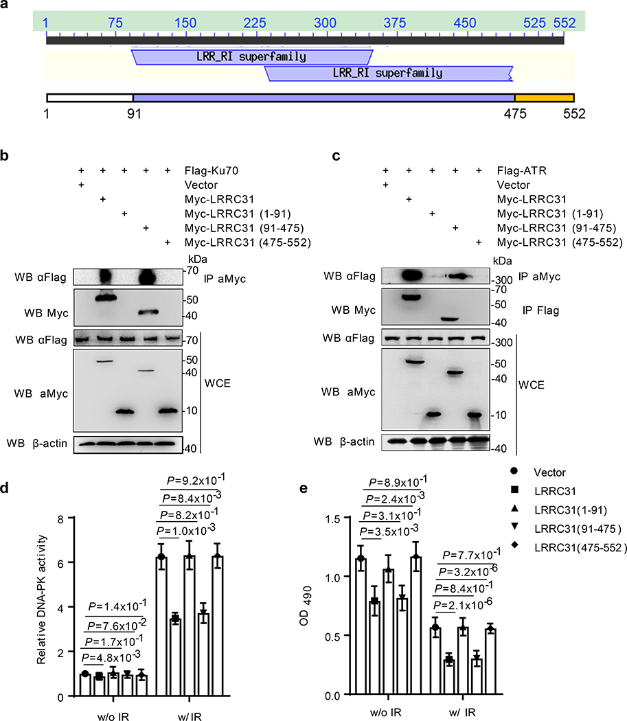 Fig. 4: