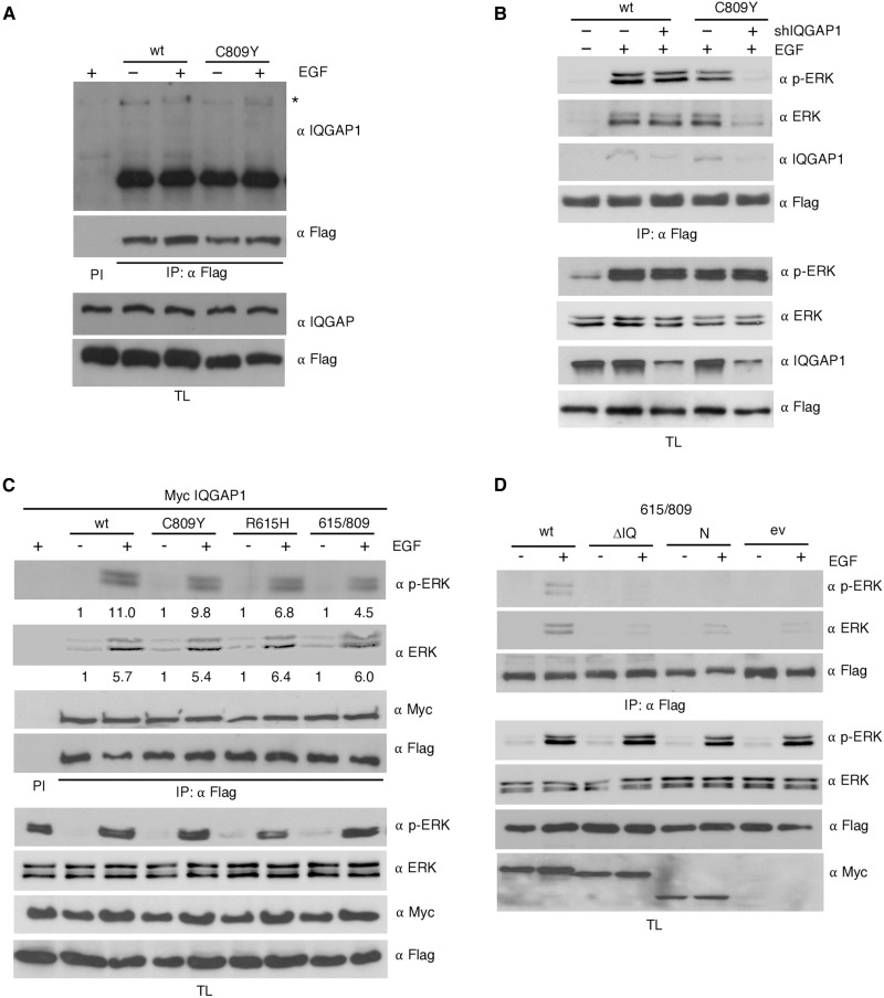 Fig. 4.