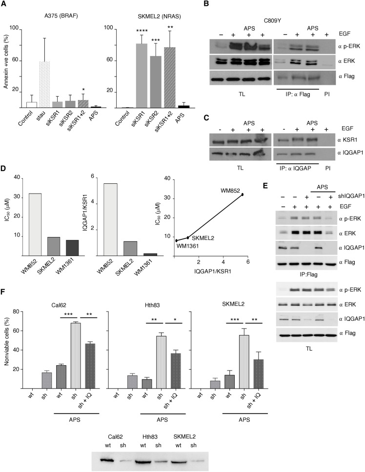 Fig. 8.