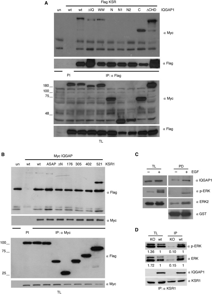 Fig. 3.