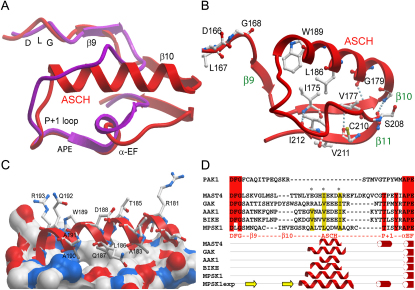 Figure 2