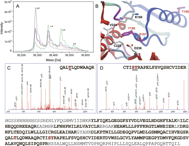 Figure 6