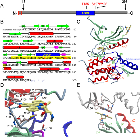 Figure 1